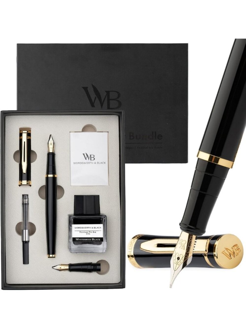 Elegant Fountain Pen Gift Set - Medium & Extra Fine Nibs, Perfect for Writers